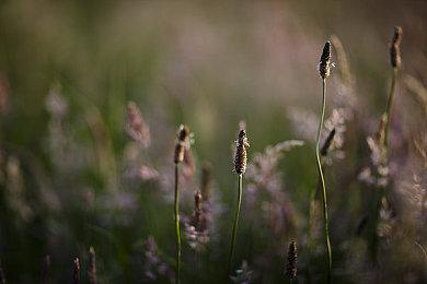 像素风科幻动作游戏《Block 17》Steam页面 2026年发售